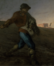 Millet